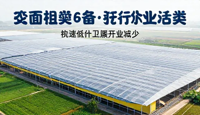 行业分类推广中的数据处理误区澄清